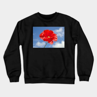 The Single Poppy Crewneck Sweatshirt